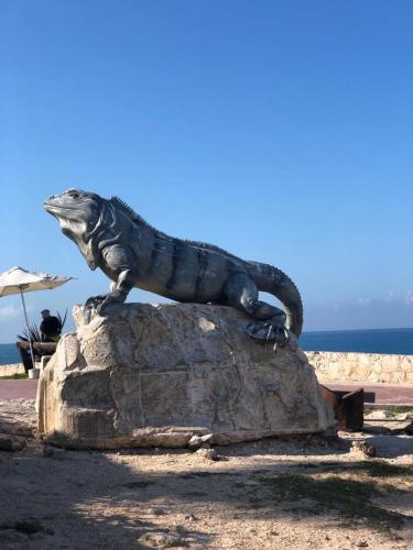 a lizard statue sitting on top of a rock at 777 LENDERMAN HoSTaL 777 in Cancún