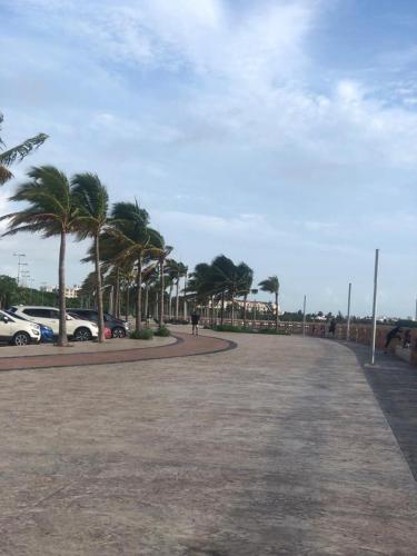 a street with palm trees and a person walking down the street at 777 LENDERMAN HoSTaL 777 in Cancún