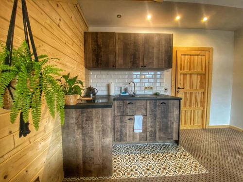 a kitchen with a sink and a counter top at Dziejba Leśna Apartamenty &Spa - piękne i nowe apartamenty i domek, sauna i jacuzzi - W CENIE I NA WYLACZNOŚĆ, 1 km od stoku in Jaworki