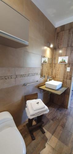 a bathroom with a toilet and a sink at Casa Las Lavandas - LOS REYUNOS in San Rafael