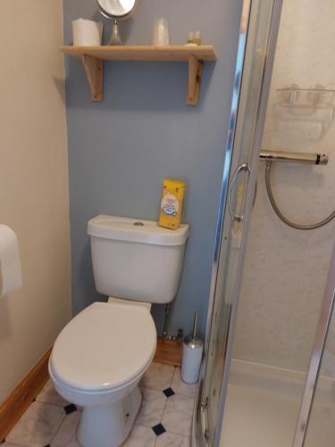 a bathroom with a toilet and a shower at Eddlewood Guest House in Lerwick