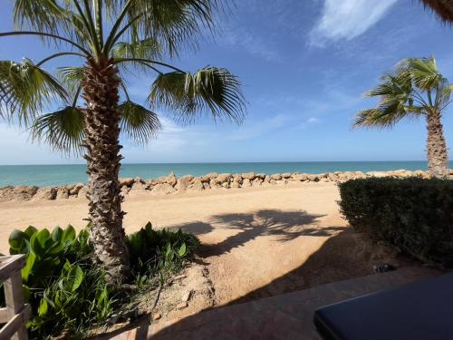a beach with two palm trees and the ocean at Westpoint Dakhla in Dakhla
