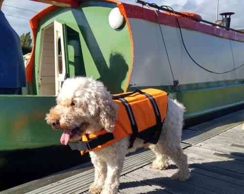 Gallery image of NEW 2022! Fixed stay characterful narrowboat at the Kelpies, Marigold Sunset in Falkirk