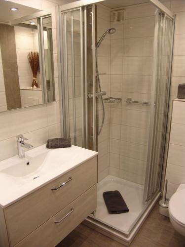 a bathroom with a shower and a sink and a toilet at Strandresidenz-Rosengarten-Wohnung-Nr-301 in Büsum