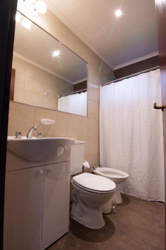 a bathroom with a sink and a toilet and a mirror at Fitz Roy Hostería de Montaña - El Chaltén in El Chalten