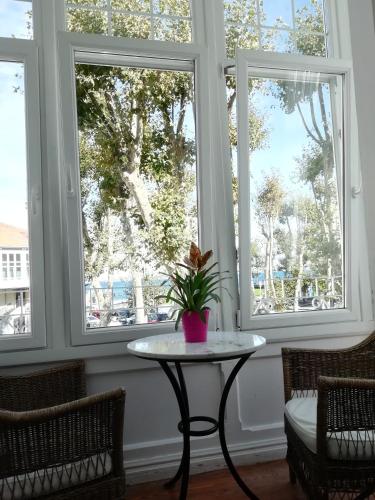 a table with a plant on it in front of windows at Hotel Atalaya- FREE PARKING GRATUITO in Mundaka