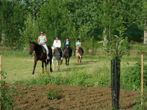 a group of people riding horses in a field at Le Château de Roquebère in Condom