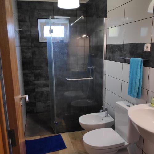 a bathroom with a shower and a toilet and a sink at By the Sea Azores in Ribeira Grande