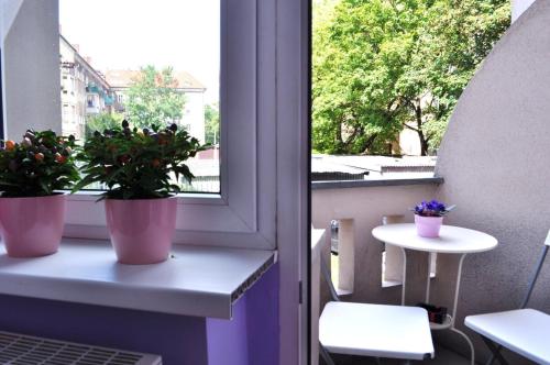 Gallery image of Happy House Hostel in Poznań