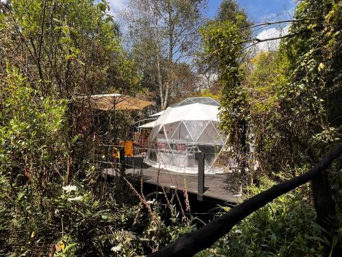 Imagen de la galería de Fantasia Glamping, en Bogotá