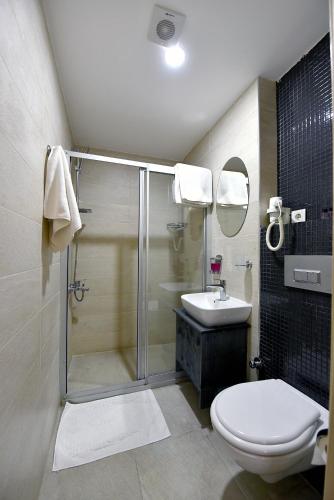 a bathroom with a shower and a toilet and a sink at Sunlife Oldcity in Istanbul
