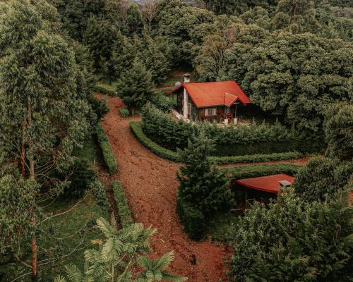 an aerial view of a house in the middle of a forest at Hotel & Spa Escondite de la Montaña in Sabana Redonda