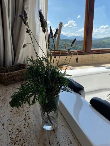 a vase with flowers in it sitting on a window sill at Chalé Terrarum in Santo Antônio do Pinhal