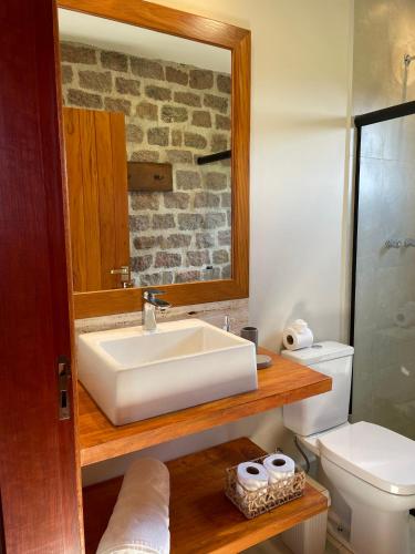a bathroom with a sink and a toilet and a mirror at Chalé Terrarum in Santo Antônio do Pinhal