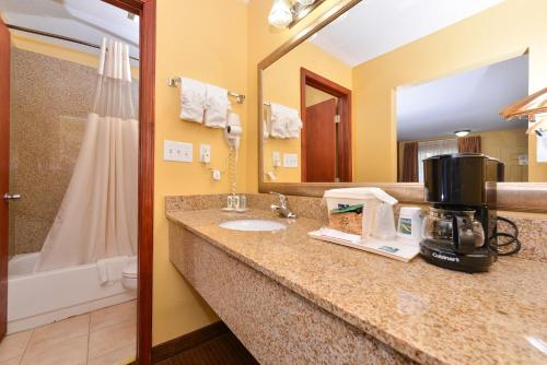 a bathroom with a sink and a coffee maker on a counter at Quality Inn & Suites in Cartersville