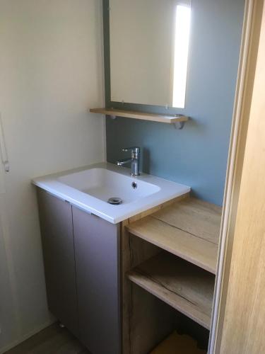 une salle de bain avec un lavabo et un miroir dans l'établissement Bungalow charmant près d'Onzain avec piscine partagée, à Onzain