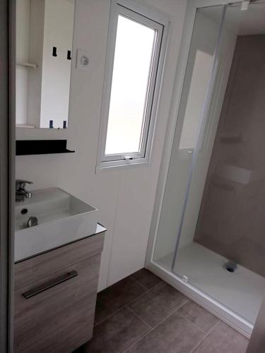 une salle de bain avec une douche, un lavabo et un miroir dans l'établissement Bungalow charmant à Onzain avec piscine partagée, à Onzain