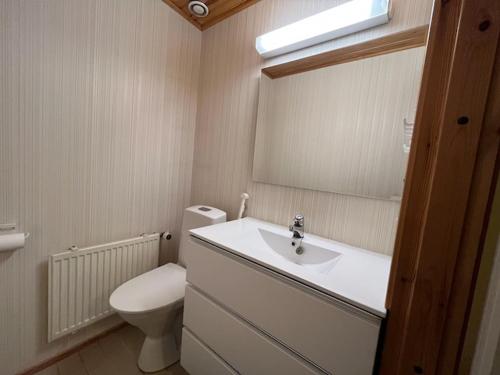 a bathroom with a toilet and a sink and a mirror at Huoneisto Tikkakoski - Apartment in Tikkakoski in Tikkakoski