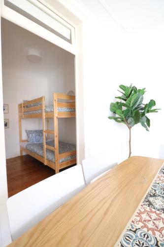 Santa Catarina - Charming apartment