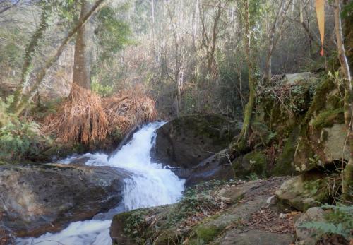 a waterfall in a forest with rocks and trees at O Homem Verde in Penela