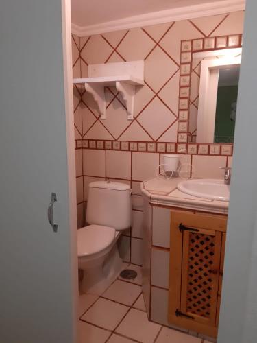 a bathroom with a toilet and a sink and a mirror at Apartamento en sanxenxo duplex in Sanxenxo