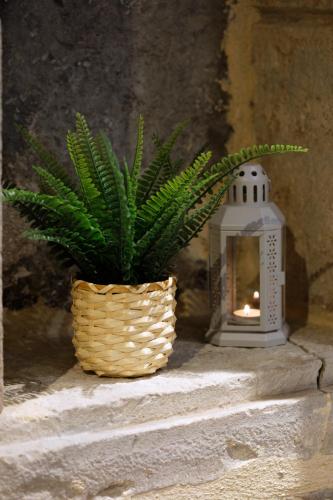 a plant in a wicker basket next to a lantern at LA DOLCEVITA SPA Suite privative in Besançon