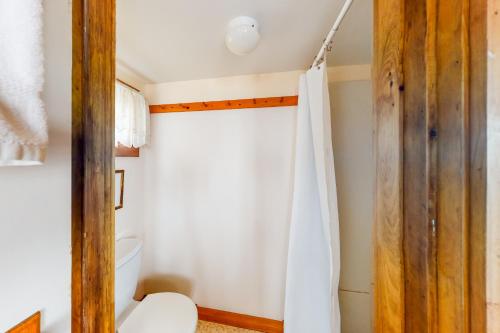 y baño con aseo y cortina de ducha. en Dream Harbor Cottage en Surry