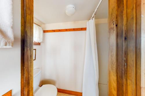 a bathroom with a toilet and a shower curtain at Dream Harbor Cottage in Surry