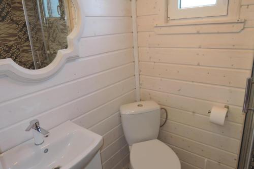 a bathroom with a toilet and a sink and a mirror at holiday home, Kolczewo in Kołczewo