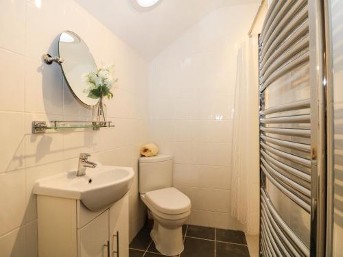 a bathroom with a toilet and a sink and a mirror at Bramble Barn in Bodmin