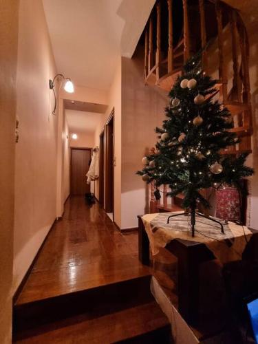 a christmas tree on a table in a hallway at Alatopetra House in Alatopetra