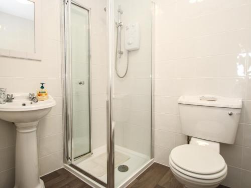 a bathroom with a shower and a toilet and a sink at Sunset Cottage in Tintagel