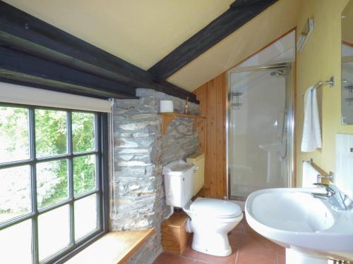 a bathroom with a white toilet and a sink at Old Winery Cottage in Golant
