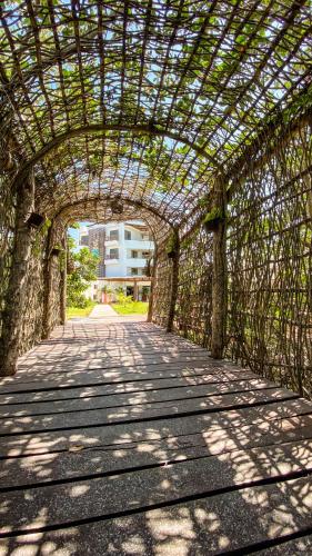 an arched walkway with a pergolaivatingivating at Hotel Rio Lagartos in Río Lagartos