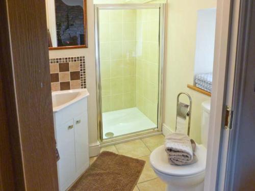 a bathroom with a shower and a toilet and a sink at Piggery Cottage in Wigton