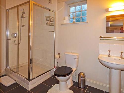 a bathroom with a shower and a toilet and a sink at The Aylesbury Cottage in Dyrham