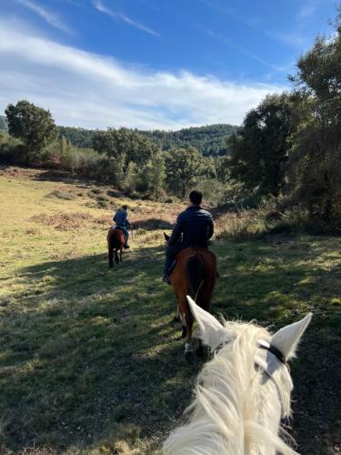 Dos personas montan caballos en un campo en Refúgio do Valouto, en Torneiro