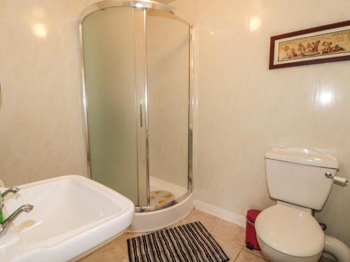 a bathroom with a shower and a toilet and a sink at Bishop Cottage in Loftus