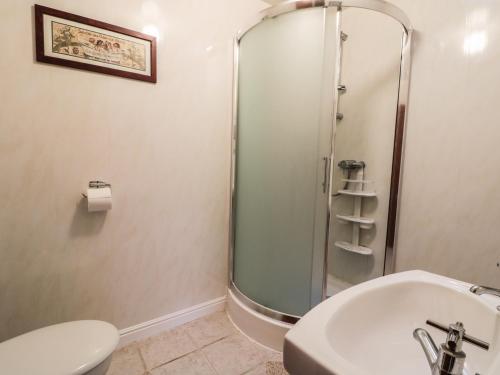 a bathroom with a shower and a toilet and a sink at Prince Cottage in Loftus