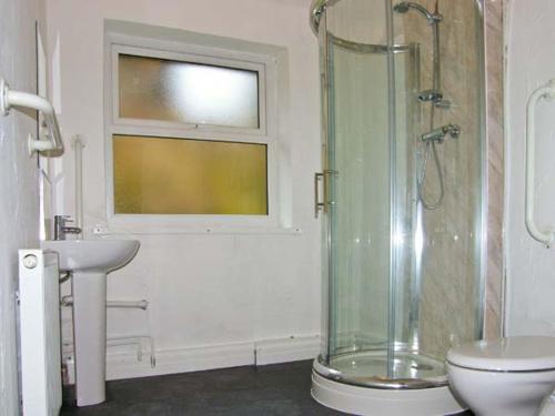 LlansannanにあるHendre Aled Cottage 1のバスルーム(シャワー、トイレ、シンク付)