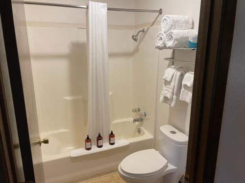a bathroom with a toilet and a shower with towels at River's Fork Lodge in Salmon