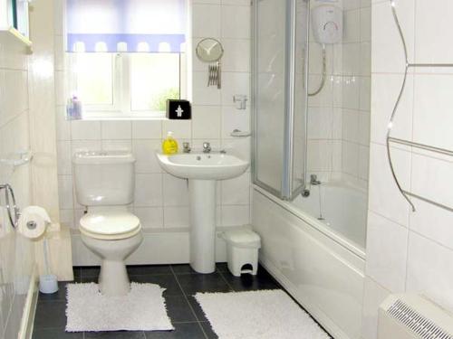 LlangwmにあるFfynnon Niのバスルーム(トイレ、洗面台、シャワー付)