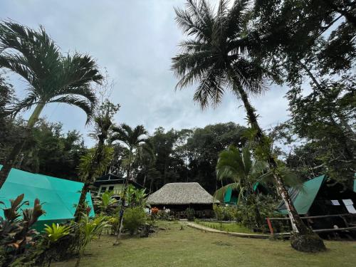 a view of a resort with palm trees at Corcovado Adventures in Drake