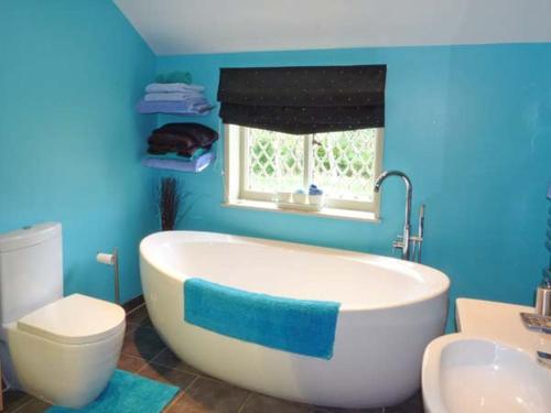 baño azul con bañera y aseo en Shortmead Cottage en Biggleswade