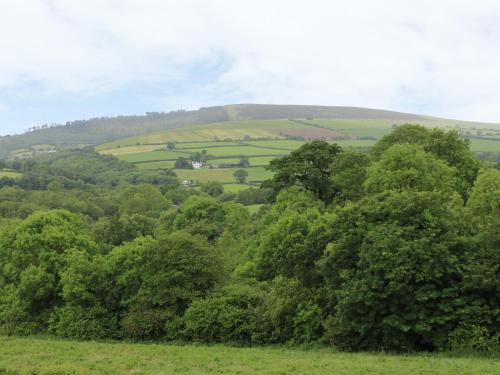 a view of a hill with trees in a field at Ysgubor - The Barn in Newchapel