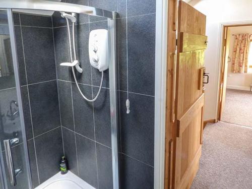 a bathroom with a shower and a toilet with a mask at Glebe Farm Cottage in Pontnewydd