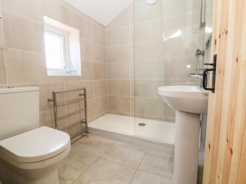 a bathroom with a toilet and a sink and a shower at Bod Rhiw in Llandegwning