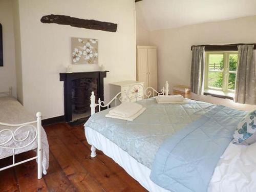 a bedroom with a large bed and a fireplace at Ploony Cottage in Bleddfa