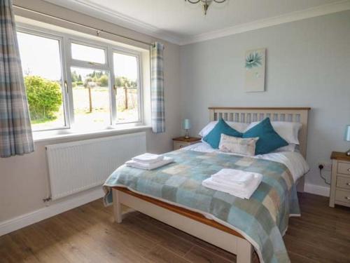 a bedroom with a bed with blue pillows and a window at Bryn Tirion in Bettws-yn-Rhôs