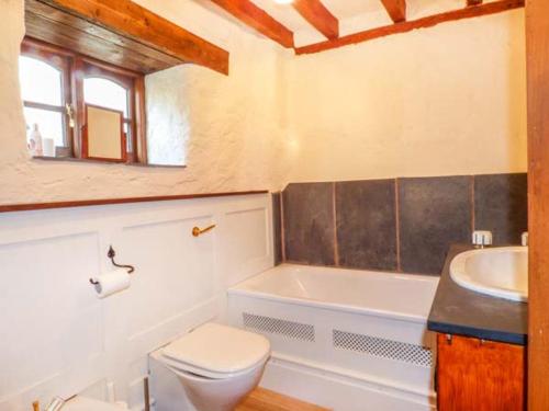 a bathroom with a white toilet and a sink at Yr Hen Felin in Carrog